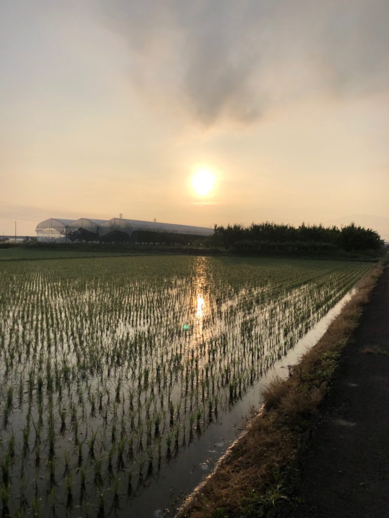 朝5時の山形市♪